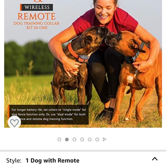 Wireless dog fence and remote trainer - Picture 3 of 9